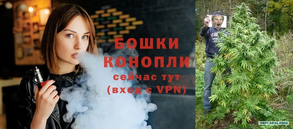 скорость Бикин