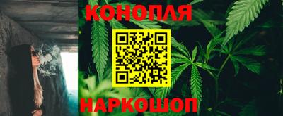 гашик Краснодар